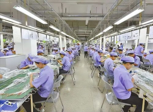 从离婚到千万网红 福建女孩的逆袭人生与婚姻服务的思考